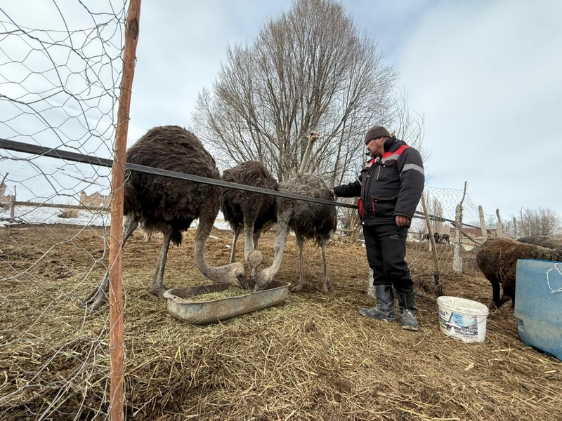 WhatsApp Image 2026-03-14 at 14.21.39 (1).jpeg