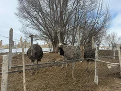 WhatsApp Image 2026-03-14 at 14.21.39 (2).jpeg