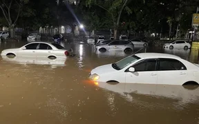 WhatsApp Image 2026-03-18 at 08.50.47.jpeg