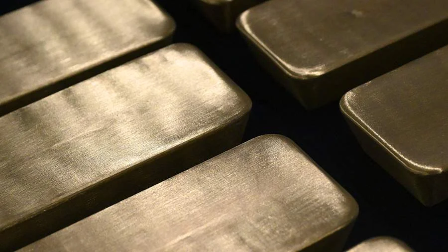 WhatsApp Image 2026-03-19 at 17.06.38.jpeg