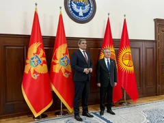 WhatsApp Image 2026-03-23 at 11.26.24.jpeg