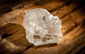 WhatsApp Image 2026-03-24 at 08.43.05.jpeg