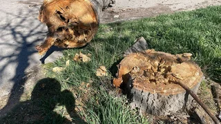 WhatsApp Image 2026-03-25 at 13.46.38 (1).jpeg