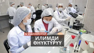 WhatsApp Image 2026-03-25 at 17.39.13.jpeg