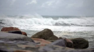 WhatsApp Image 2026-03-27 at 08.51.49.jpeg