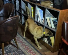 WhatsApp Image 2026-03-30 at 12.19.54.jpeg