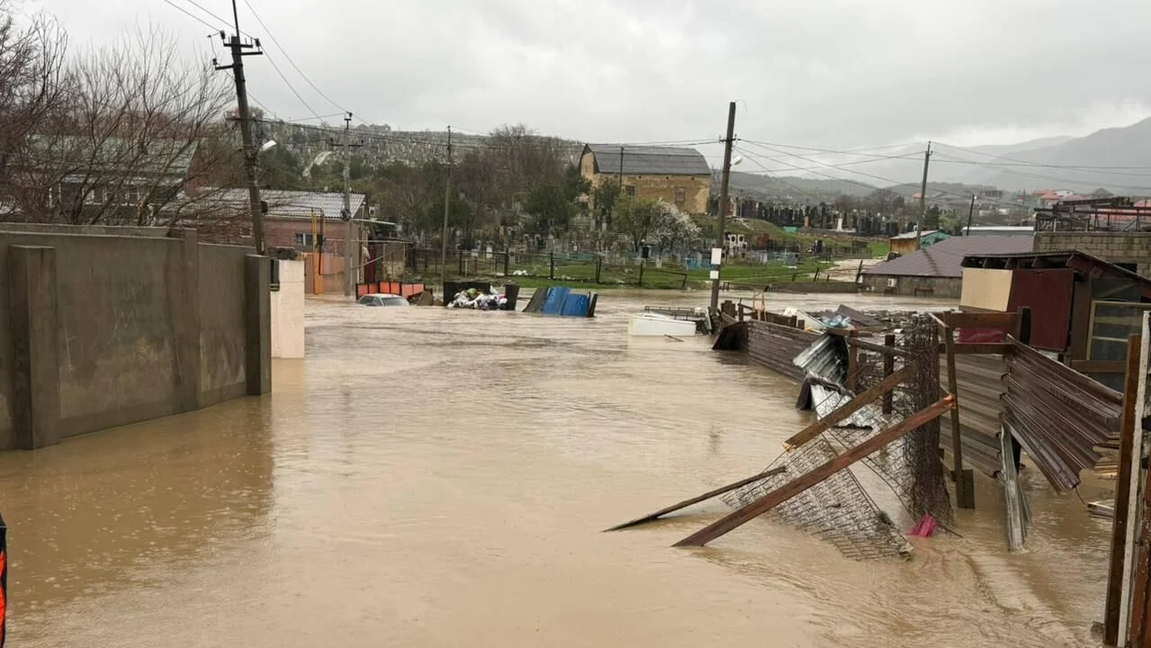 WhatsApp Image 2026-03-30 at 10.48.44.jpeg