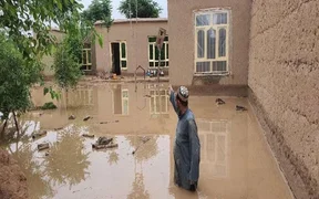 WhatsApp Image 2026-03-31 at 05.49.42.jpeg