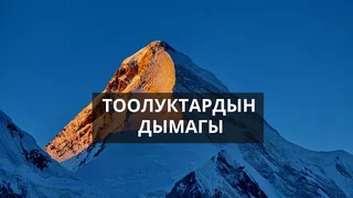 WhatsApp Image 2026-03-31 at 17.30.19.jpeg