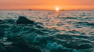 WhatsApp Image 2026-04-01 at 12.21.00.jpeg