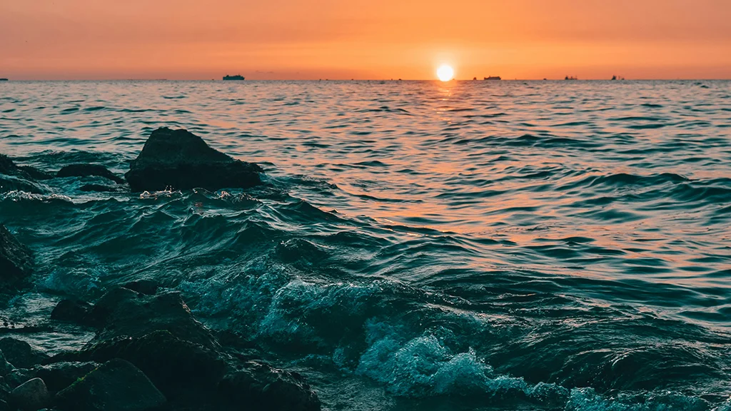 WhatsApp Image 2026-04-01 at 12.21.00.jpeg