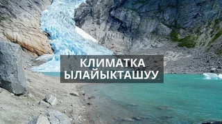 WhatsApp Image 2026-04-03 at 16.16.49.jpeg