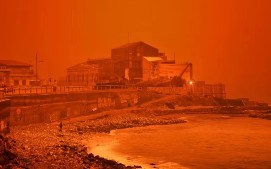 WhatsApp Image 2026-04-03 at 09.14.37.jpeg