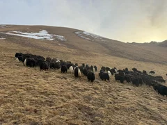 WhatsApp Image 2026-04-05 at 09.42.41 (2).jpeg