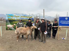 WhatsApp Image 2026-04-06 at 13.08.45 (1).jpeg