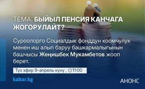 WhatsApp Image 2026-04-08 at 15.54.49.jpeg