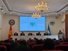 WhatsApp Image 2026-04-09 at 09.41.18 (2).jpeg