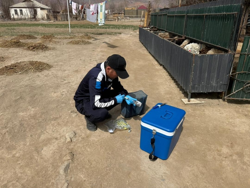 WhatsApp Image 2026-04-09 at 17.12.15 (4).jpeg