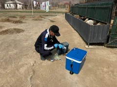 WhatsApp Image 2026-04-09 at 17.12.15 (4).jpeg