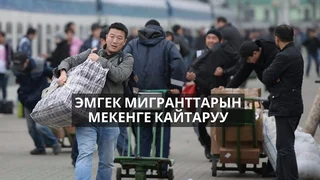 WhatsApp Image 2026-04-17 at 17.45.21.jpeg