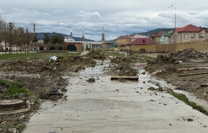 WhatsApp Image 2026-04-17 at 09.00.11.jpeg