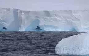 WhatsApp Image 2026-04-22 at 08.54.56.jpeg