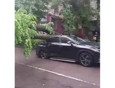 WhatsApp Image 2026-04-23 at 18.18.40.jpeg