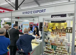 WhatsApp Image 2026-04-24 at 13.46.17.jpeg