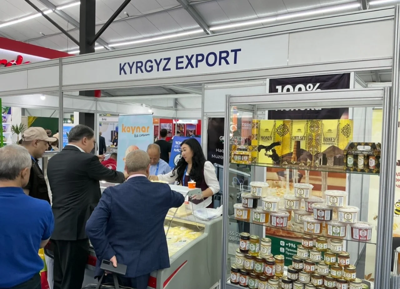 WhatsApp Image 2026-04-24 at 13.46.17.jpeg