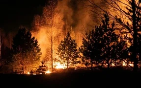 WhatsApp Image 2026-04-27 at 09.03.13.jpeg