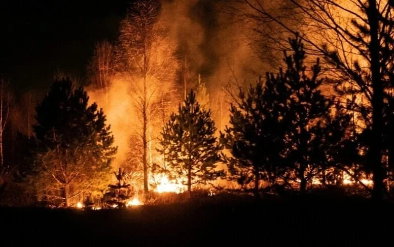 WhatsApp Image 2026-04-27 at 09.03.13.jpeg