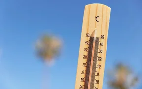 WhatsApp Image 2026-04-28 at 08.42.51.jpeg