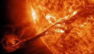 WhatsApp Image 2026-04-29 at 07.56.30.jpeg