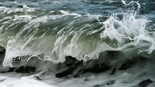 WhatsApp Image 2026-07-16 at 17.29.17.jpeg
