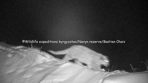 WhatsApp Image 2026-07-21 at 10.54.10 (1).jpeg