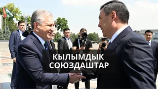 WhatsApp Image 2026-07-30 at 18.33.25.jpeg