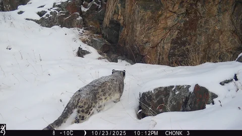 WhatsApp Image 2026-08-04 at 11.34.00.jpeg