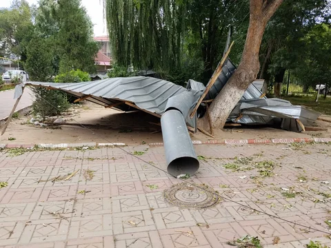 WhatsApp Image 2026-08-24 at 15.15.34.jpeg