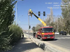WhatsApp Image 2026-09-16 at 16.59.23.jpeg