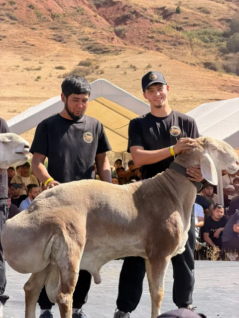 WhatsApp Image 2026-09-19 at 15.30.44.jpeg