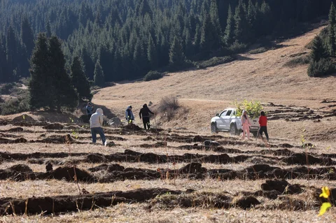WhatsApp Image 2026-10-24 at 19.17.47 (35).jpeg