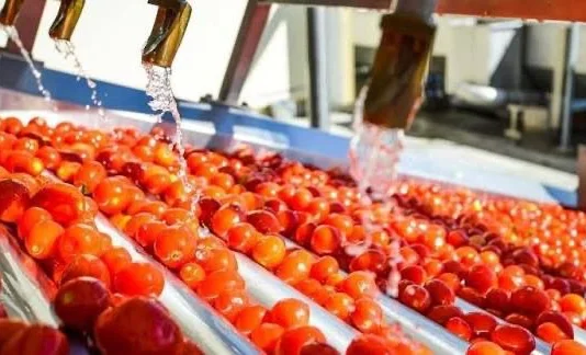 WhatsApp Image 2026-01-03 at 16.24.20.jpeg