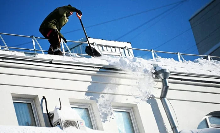 WhatsApp Image 2026-02-17 at 08.44.00.jpeg