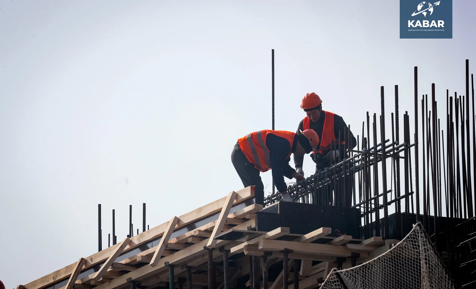 WhatsApp Image 2026-01-16 at 14.50.10 (6).jpeg