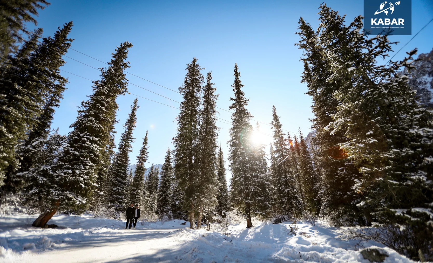 WhatsApp Image 2026-01-16 at 16.14.14.jpeg