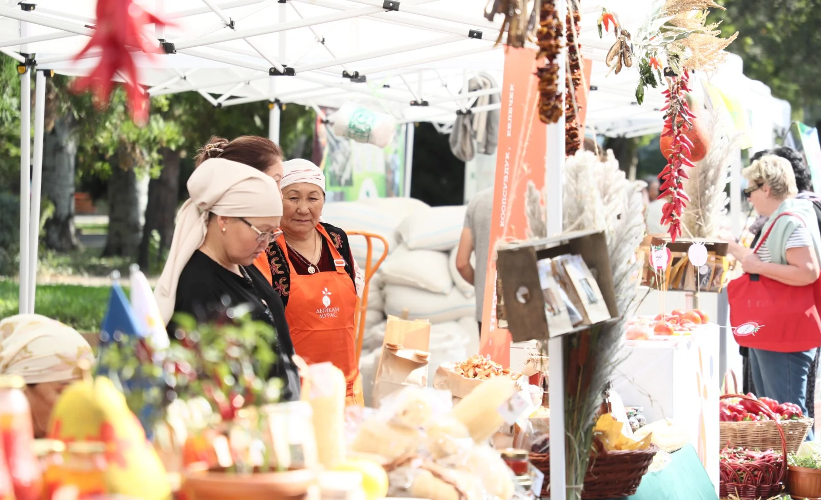 WhatsApp Image 2026-01-21 at 15.58.24.jpeg