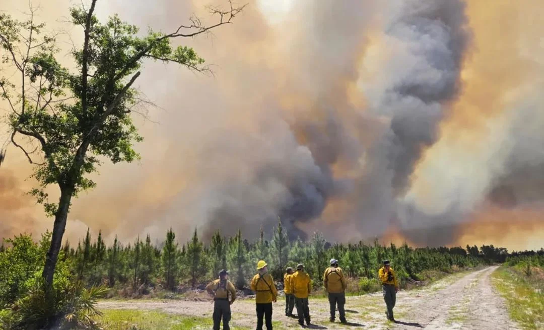 WhatsApp Image 2026-04-24 at 08.17.43.jpeg