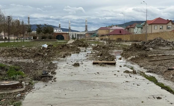 WhatsApp Image 2026-04-17 at 09.00.11.jpeg