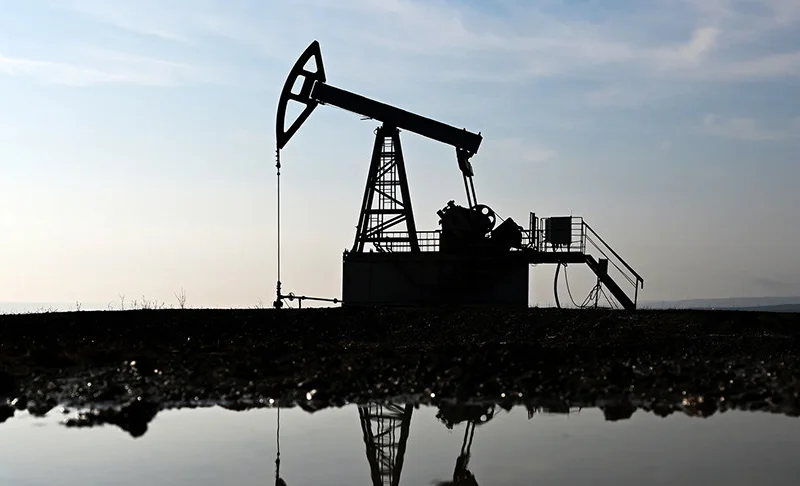 WhatsApp Image 2026-03-18 at 08.48.09.jpeg