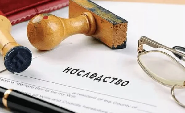 WhatsApp Image 2026-01-19 at 07.08.18.jpeg